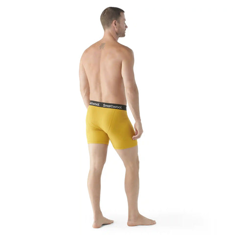 Men's Merino Boxer Brief